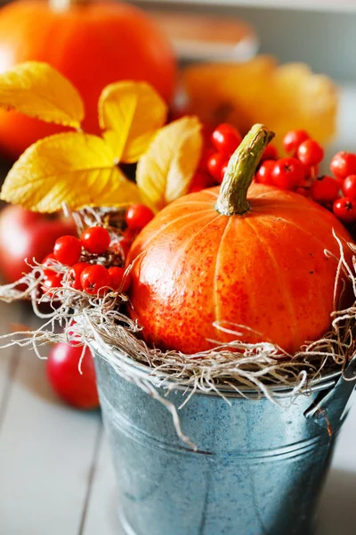 Herfst decoratie met pompoen — Stockfoto