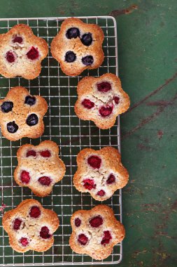 Berry yatırımcı kek