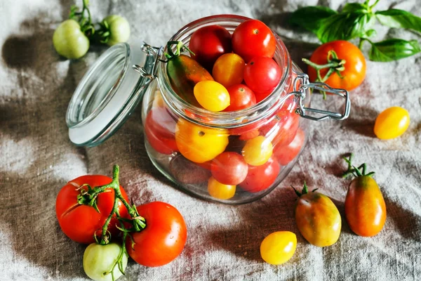 Fresh ripe colorful tomatoes — Stock Photo, Image