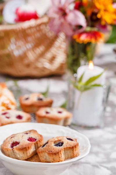 Fiesta de té en el campo — Foto de Stock