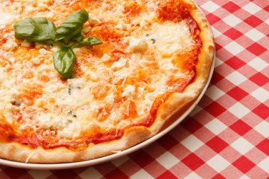 fesleğen yaprakları ile peynirli pizza