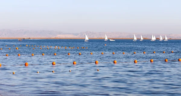 Beach of Red Sea — Stock Photo, Image