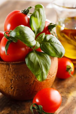 Taze kırmızı domatesler