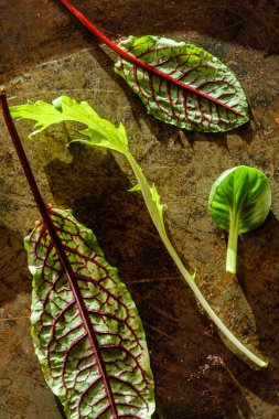 taze salata yaprakları