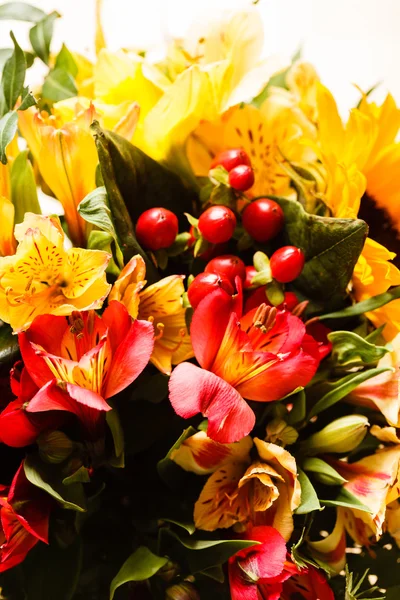 Szép színes virágok — Stock Fotó