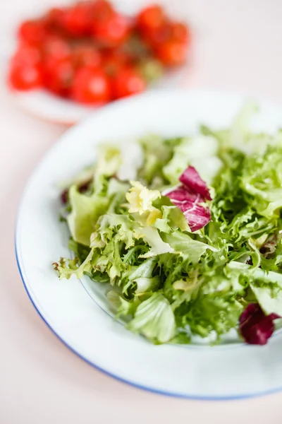 Salată de legume verzi — Fotografie, imagine de stoc