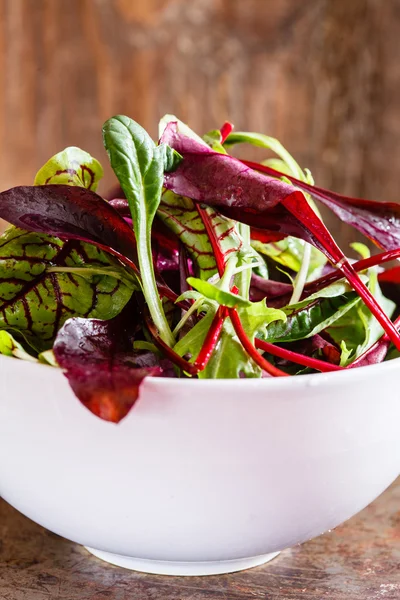 Feuilles de salade fraîches — Photo