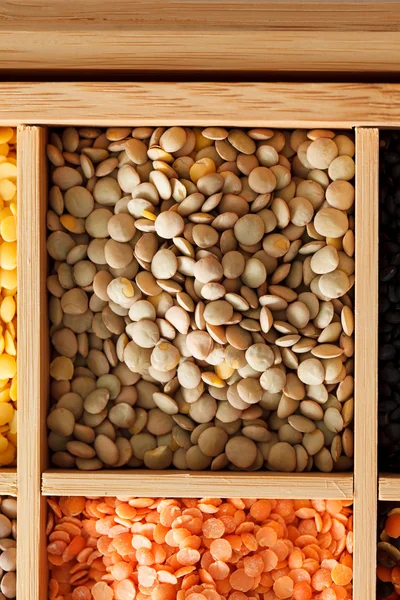 Dried lentils beans — Stock Image Dried lentils beans Stock Photo