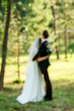 Gelin ve damat parkta