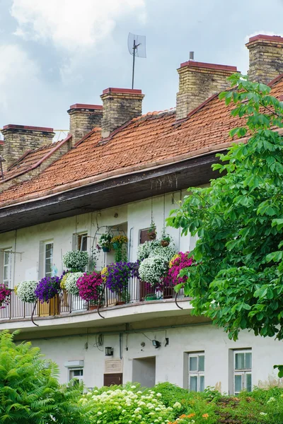 Decorated balcony with flowers — Stock Photo, Image