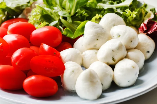 Συστατικά για ιταλική σαλάτα — Φωτογραφία Αρχείου