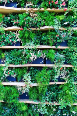 doğa çiçek arka plan