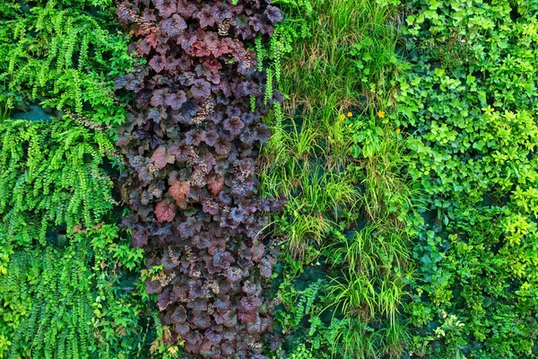 Natureza folhas fundo — Fotografia de Stock