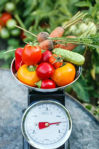 Organic vegetables on scale — Stock Photo, Image