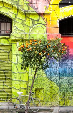 Roma'da boyalı duvar