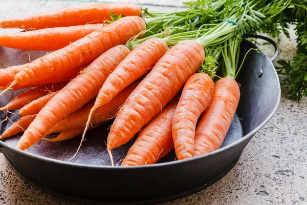 Zanahorias frescas maduras —  Fotos de Stock