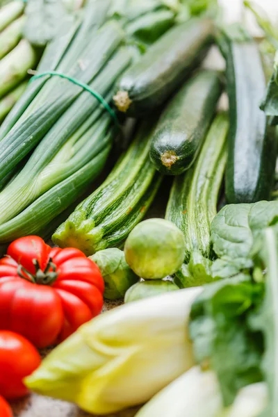 Fresh ripe vegetables — Stock Photo, Image