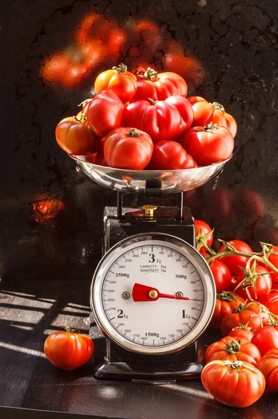 Ripe red tomatoes on scales — Stock Photo, Image