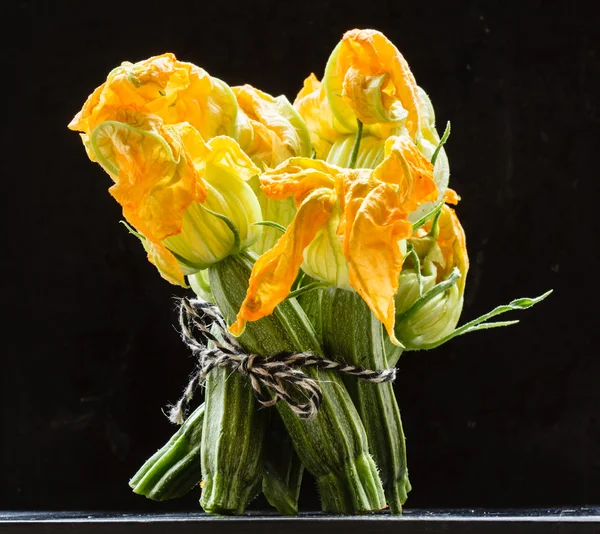 Verse courgette bloemen — Stockfoto