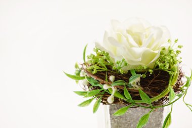 güzel çiçekler üzerinde beyaz izole