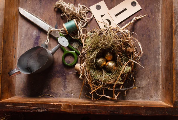 Huevos de oro en el nido —  Fotos de Stock
