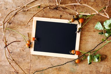 Bitkiler boş yazı tahtası ile