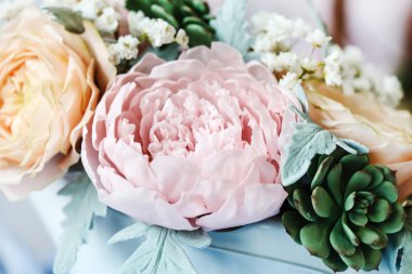 şeker çiçek açan çiçekler