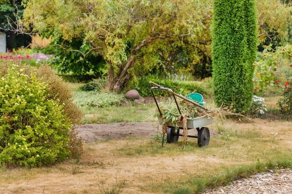 Work in green garden — Stock Photo, Image