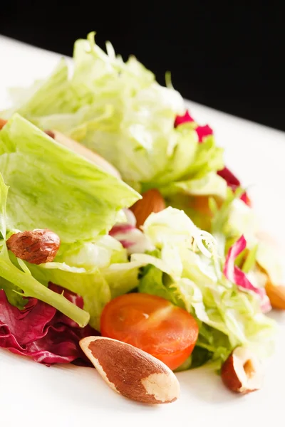 Healthy salad appetizer — Stock Photo, Image