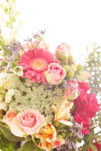 Hermosas flores frescas — Foto de Stock
