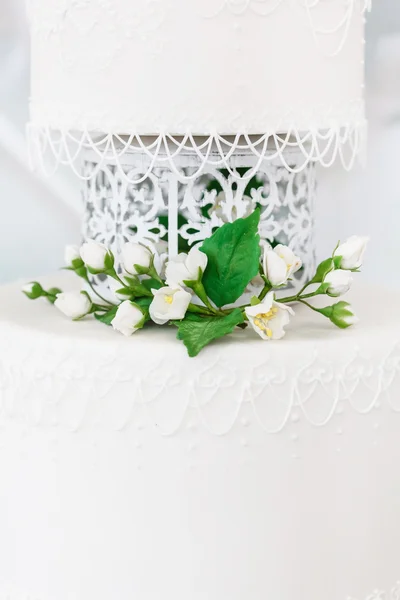 Magnifique gâteau de mariage — Photo