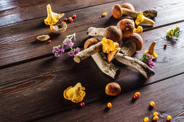 Champignons crus d'automne — Photo