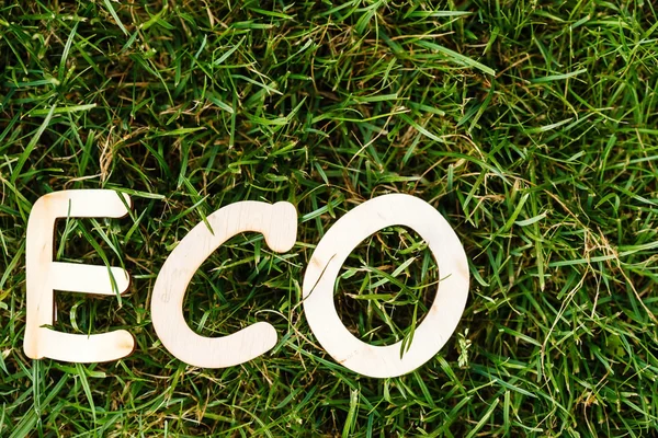 Lettere eco su erba verde — Foto Stock