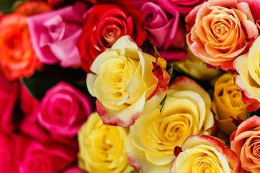 Güller çiçek arka plan