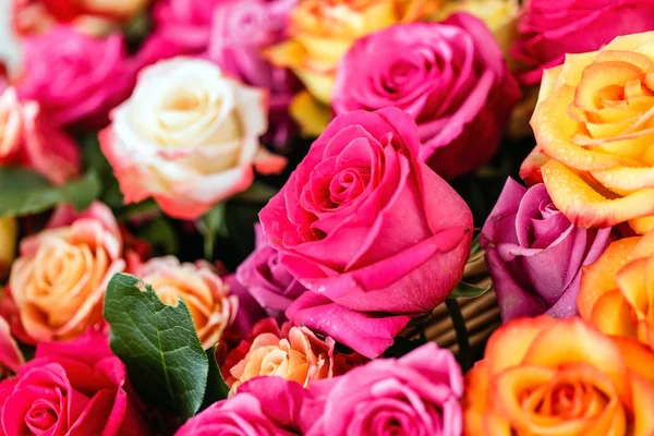 Roses flowers background — Stock Photo, Image