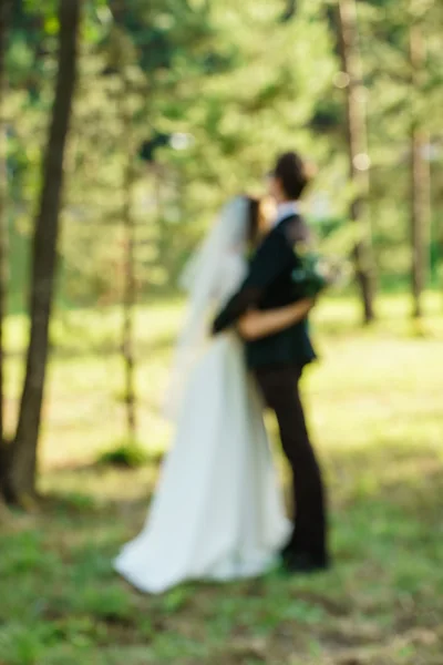 Gelin ve damat parkta — Stok fotoğraf