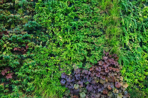 Natuur laat achtergrond — Stockfoto