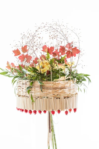 Beautiful floral arrangement — Stock Photo, Image