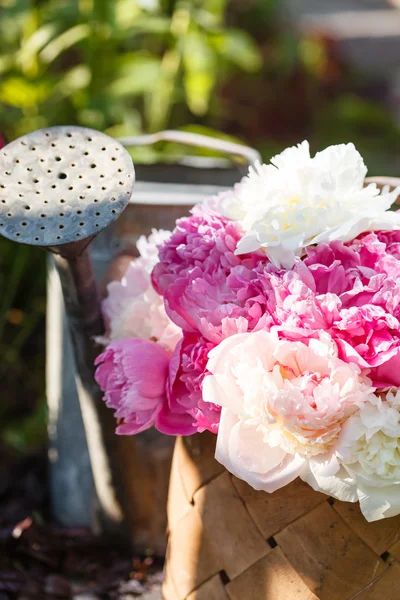 Mooie lentebloemen — Stockfoto