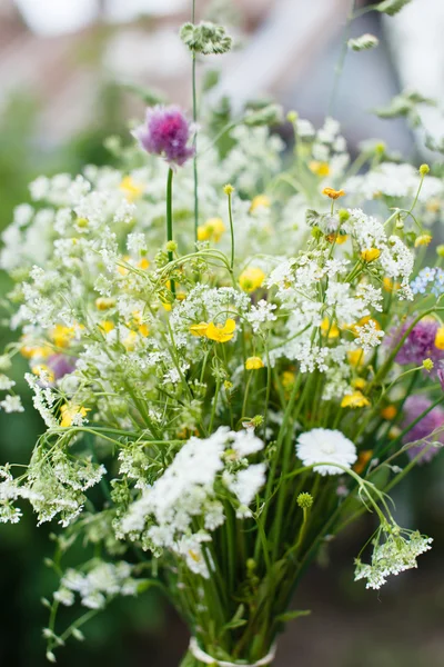 Bouquet of bright wildflowers — Stock Photo, Image