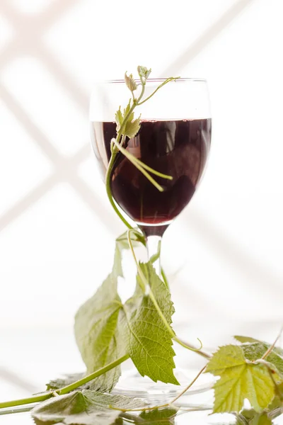 Vino tinto en copa — Foto de Stock