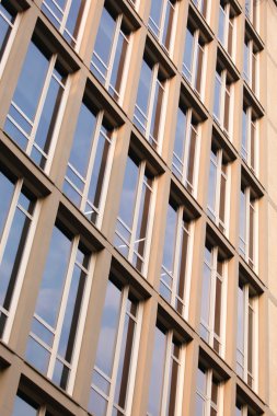 Modern bina windows