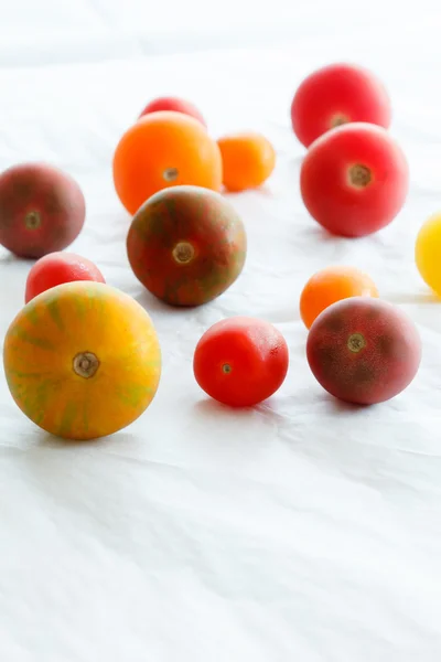 Color tomates en blanco — Foto de Stock