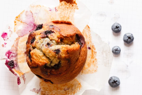 Muffin al mirtillo saporito — Foto Stock