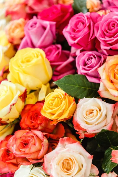Цветы розы фон — стоковое фото