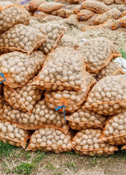Potatoes in bags at farmers market