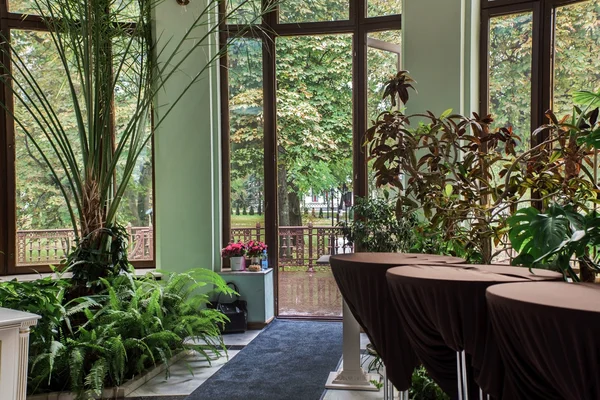 Elegância interior de salão com plantas verdes — Fotografia de Stock