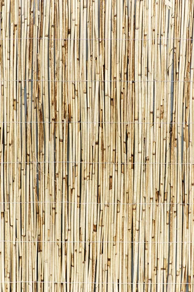Абстрактный бамбуковый фон — стоковое фото