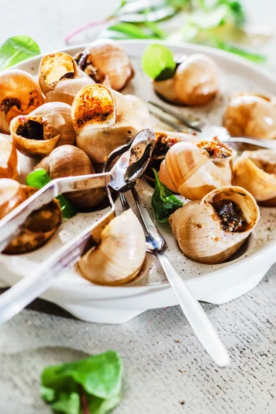 Gastronomische bereid slakken — Stockfoto