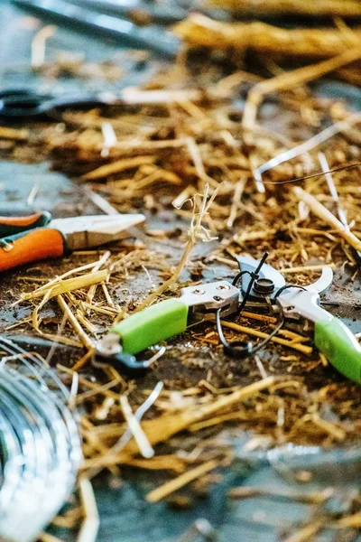 Blumenschere am Boden — Stockfoto